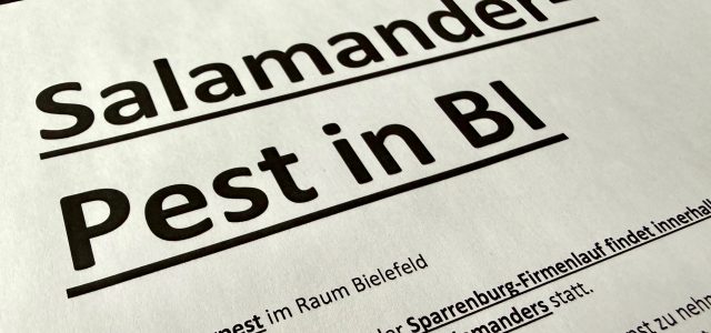 Das Umweltamt der Stadt Bielefeld teilt mit: der Böckstiegellauf findet innerhalb eines bekannten Verbreitungsgebiets des Feuersalamanders statt. Das Umweltamt möchte über einen aktuell sehr ernst zu nehmende Bedrohung für heimische [&hellip;]